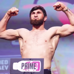 Magomed Ankalaev MMA Profile Record Stats Biography UFC Career Fight History