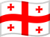 Georgia Flag
